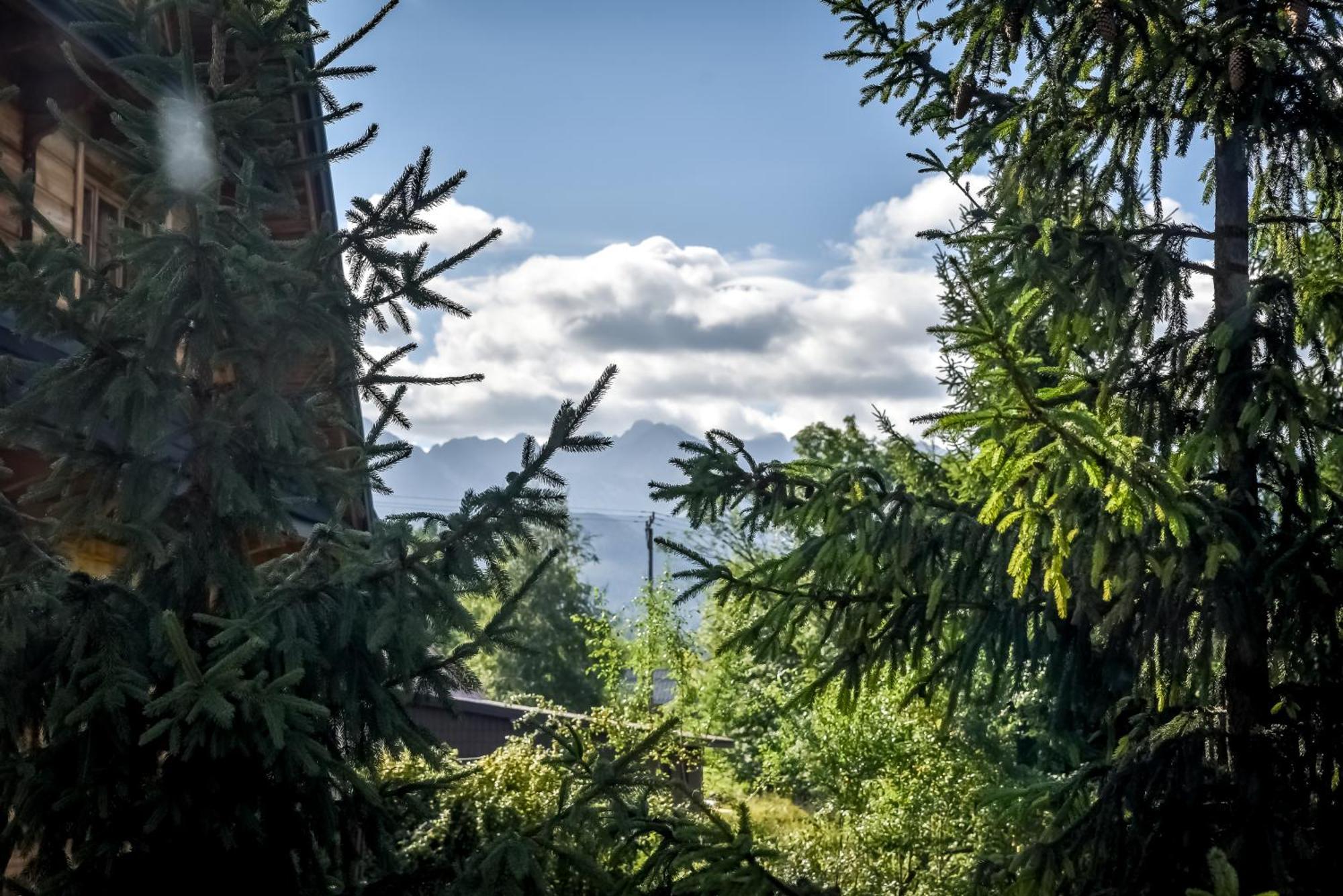 White House Zakopane Villa — Photos 3
